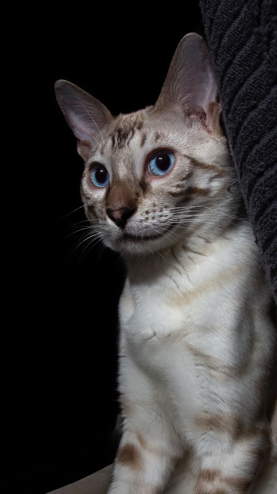 Photograph by Илья Володьков