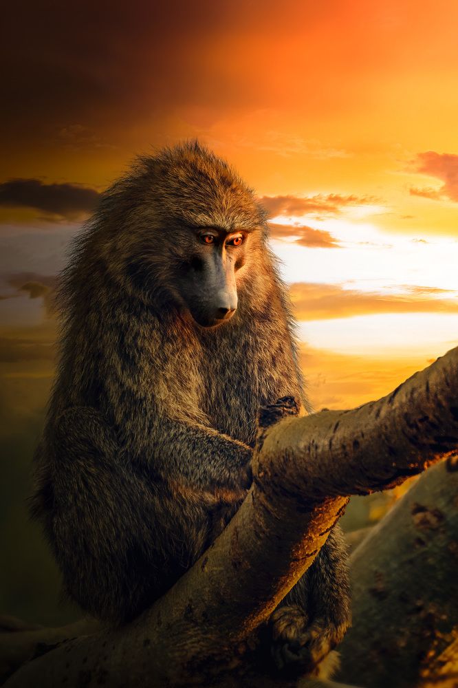 Фотография автора sherif Abdallah