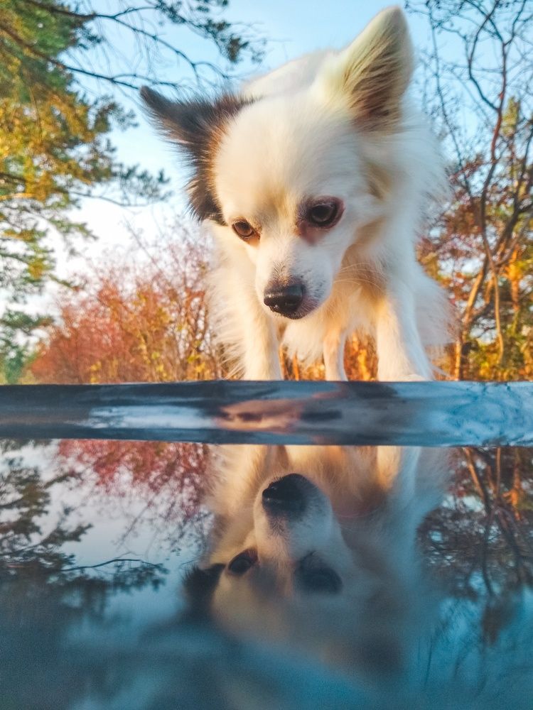 Фотография автора Марина