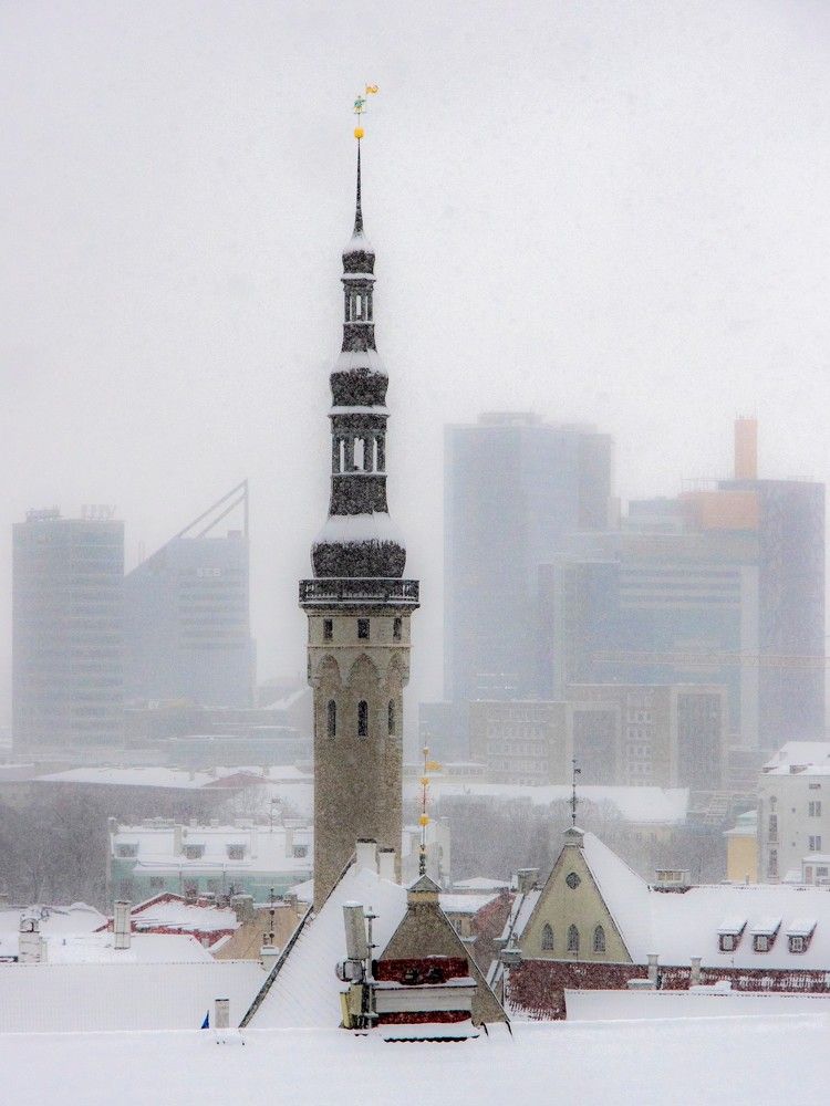 Photograph by Dmitri K