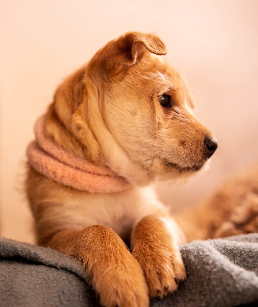 Photograph by Jorge Bagnuoli