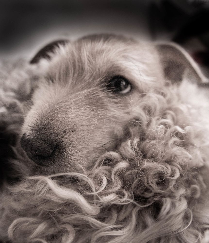 Photograph by Jorge Bagnuoli