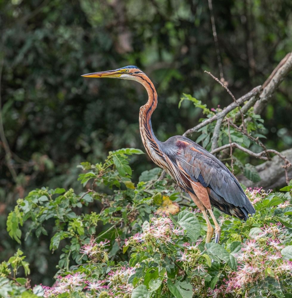 Photograph by Илья Поляк