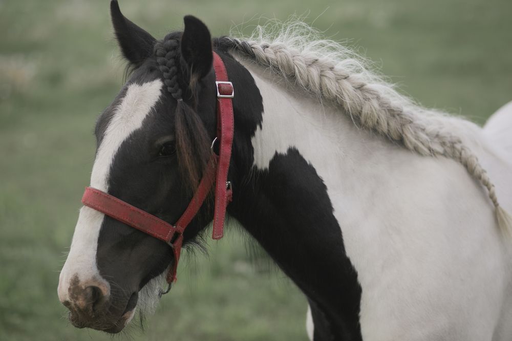 Фотография автора Ольга Матусевич