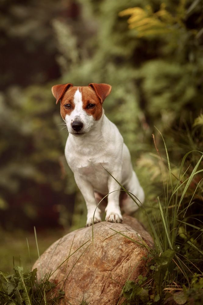 Photograph by Anna Chertopolokh