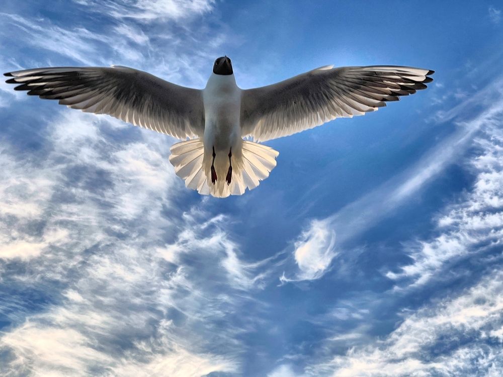 Photograph by Galina Baranovskaja