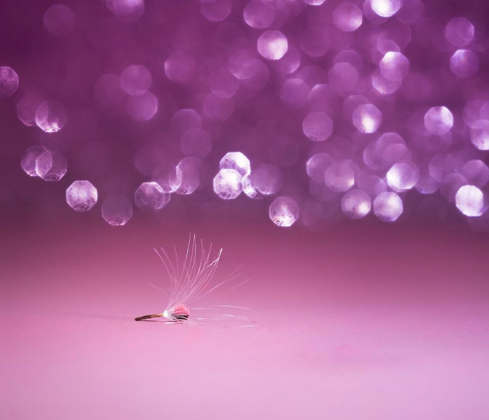 Photograph by Евгения Д