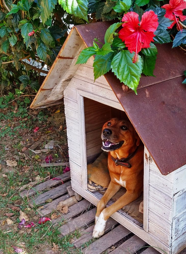 Photograph by Tatiana Barthem