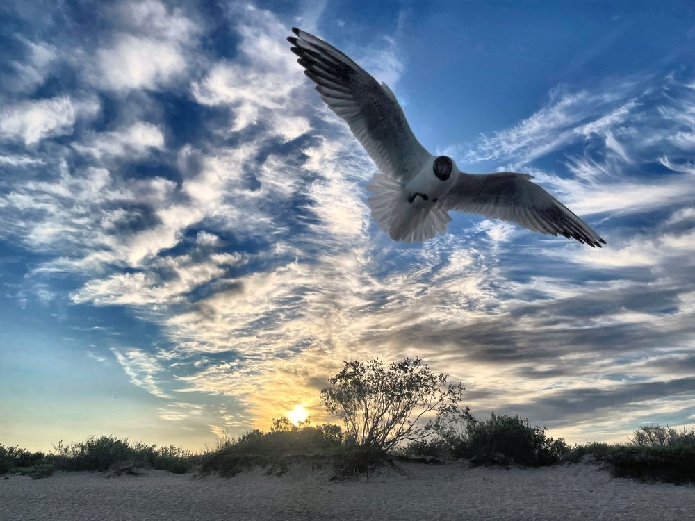 Photograph by Galina Baranovskaja