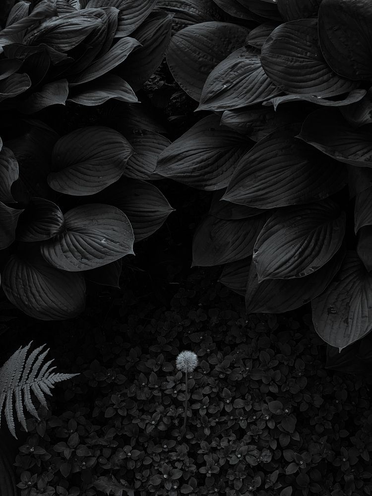 Photograph by Юлия Смирнова