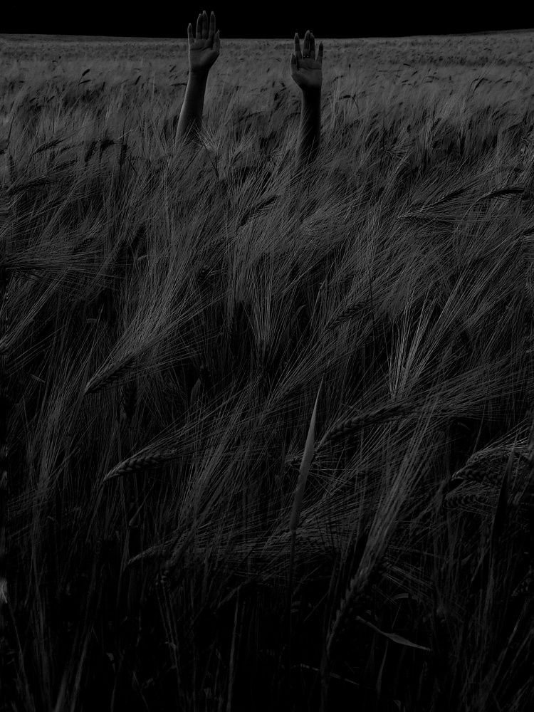 Photograph by Анна Будигай