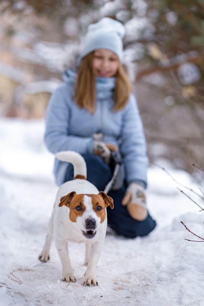 Зимняя прогулка