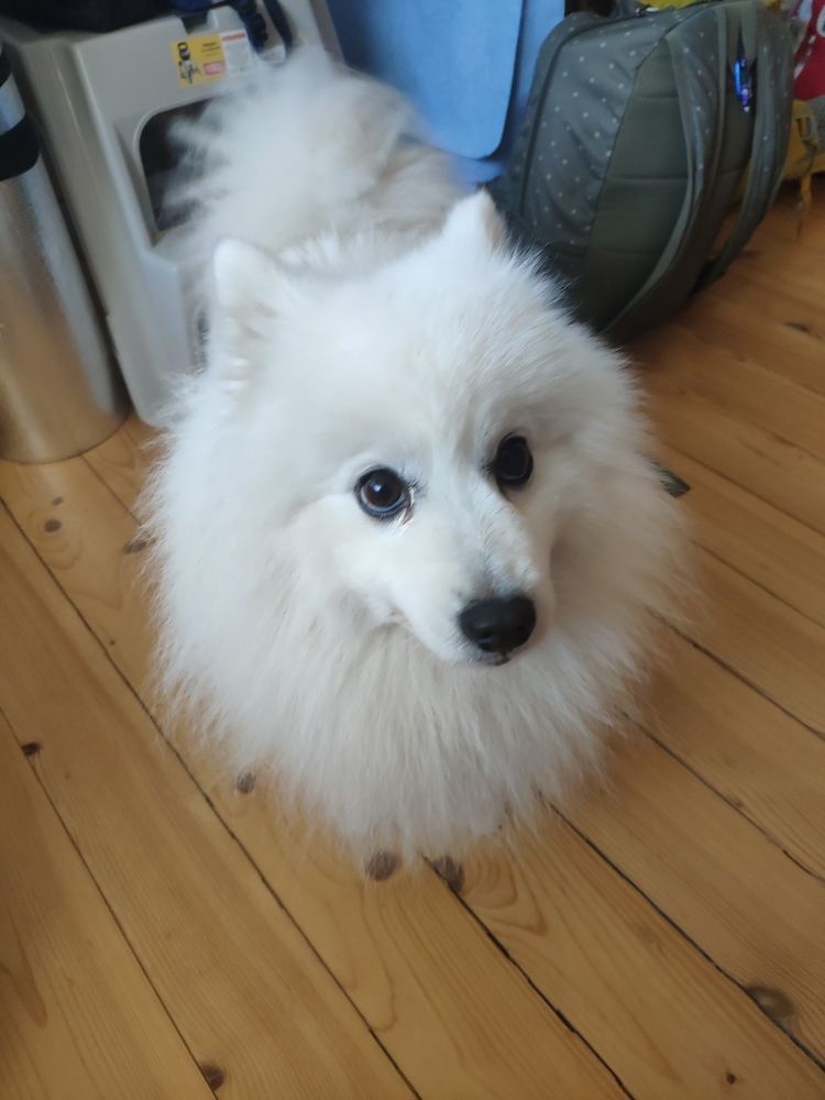 Photograph by Антон Корольков