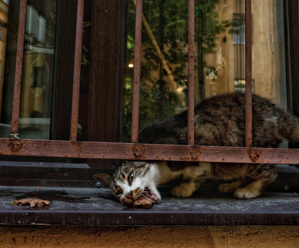 Photograph by Лазарев Евгений