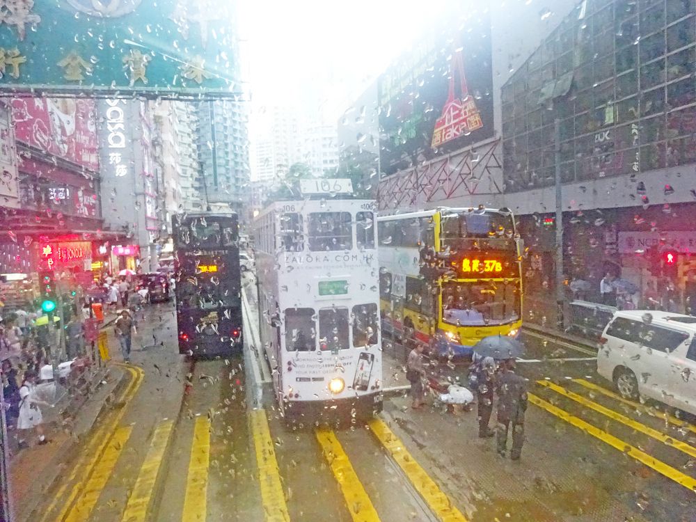 Photo #7690850