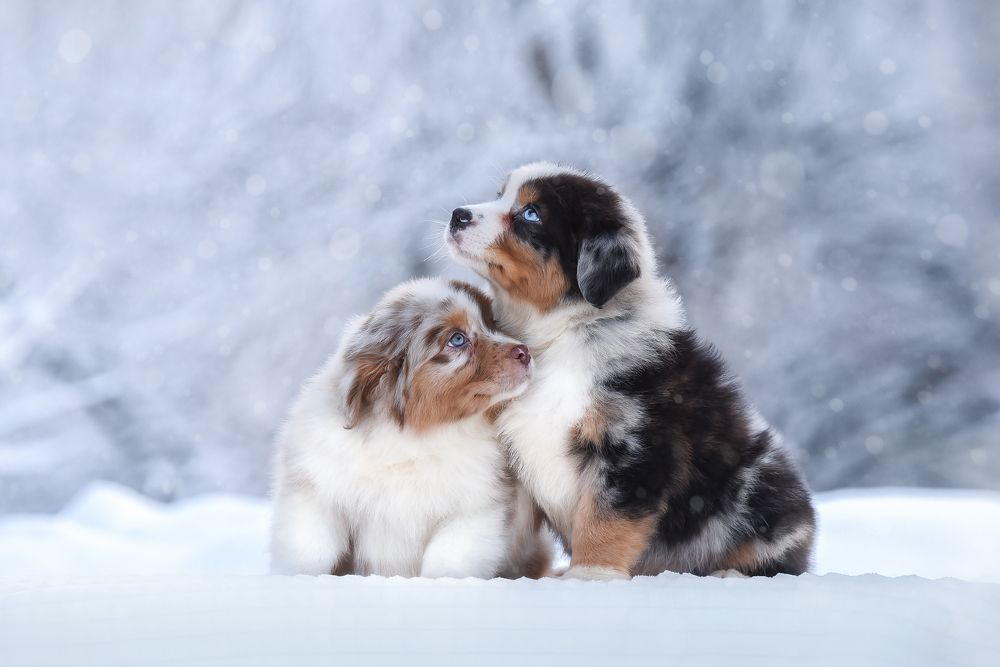 Фотография автора Ирина Мороз