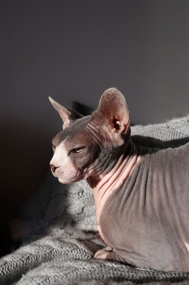 Photograph by Марина Шамич