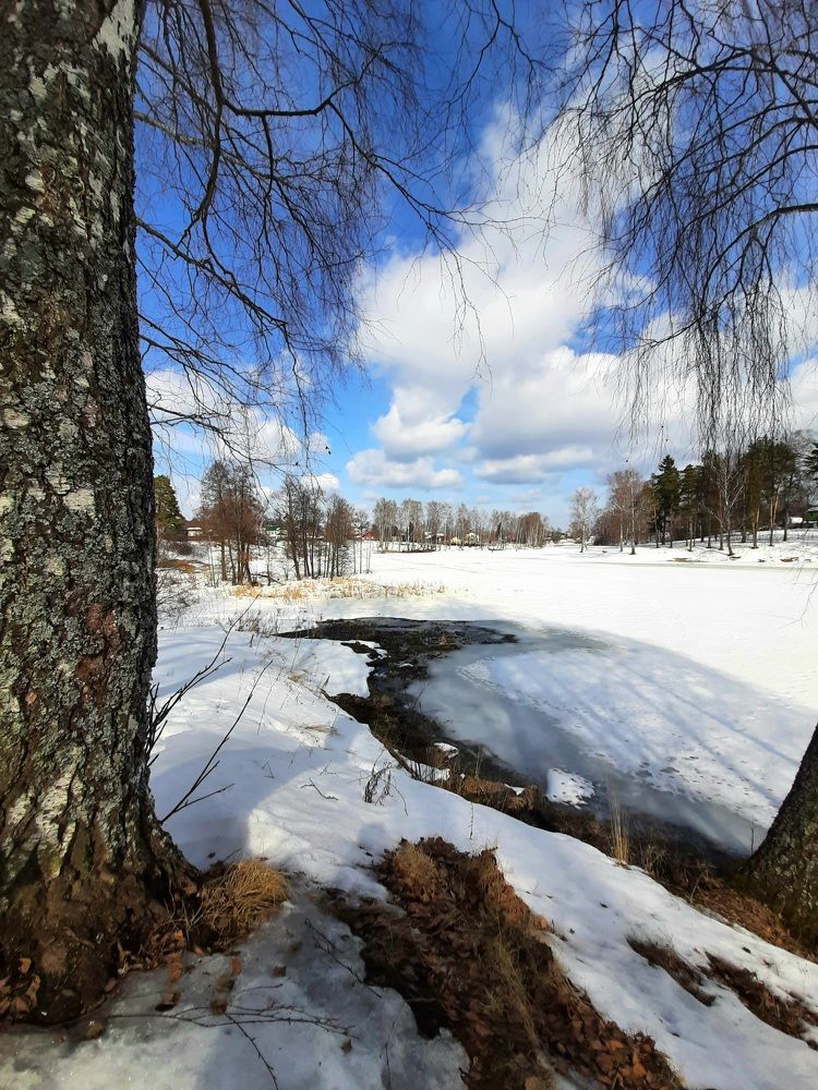 Photograph by Виктория Хмара