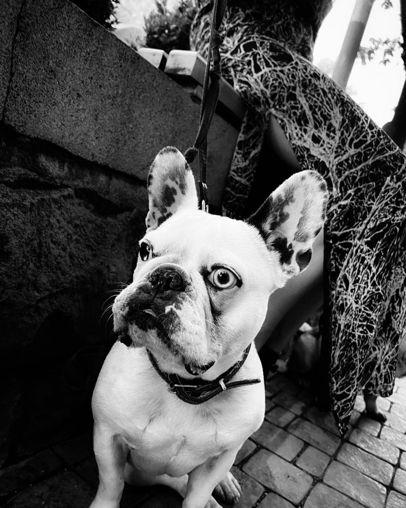 Photograph by Юлия Смирнова