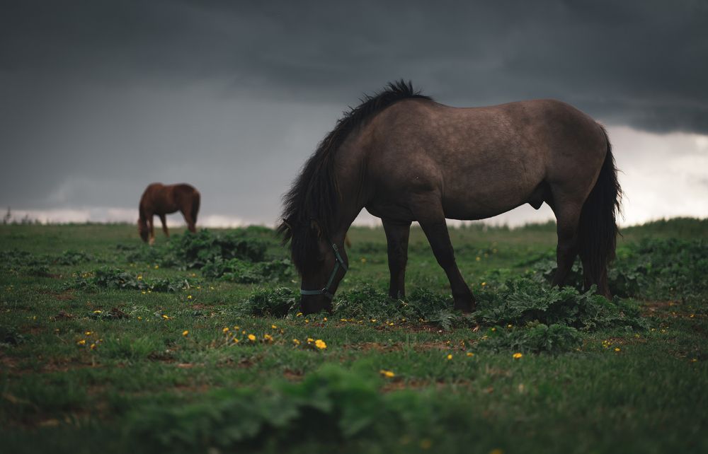 Photograph by Максим Усов