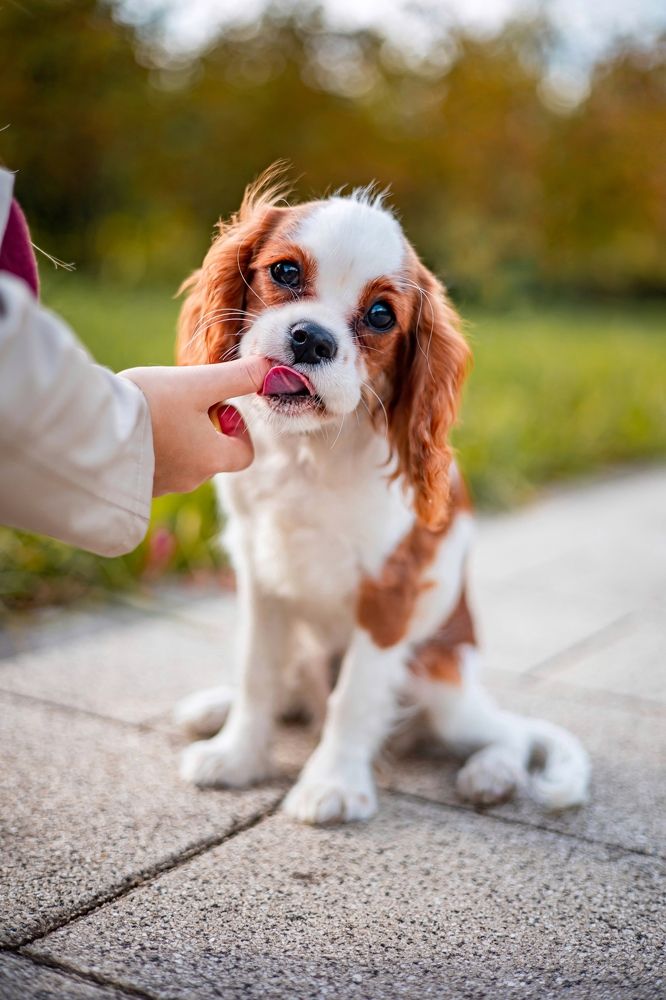 Photograph by Ксения Шейкина