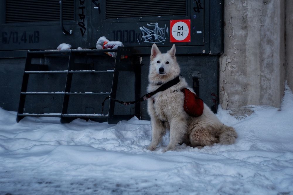 Photograph by Лазарев Евгений