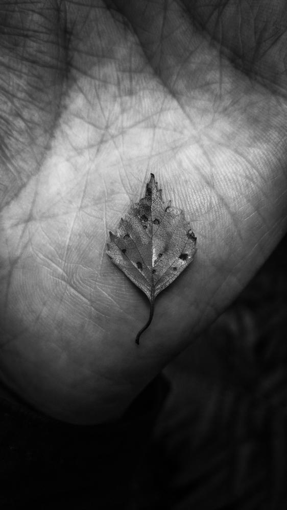 Photo #7690941