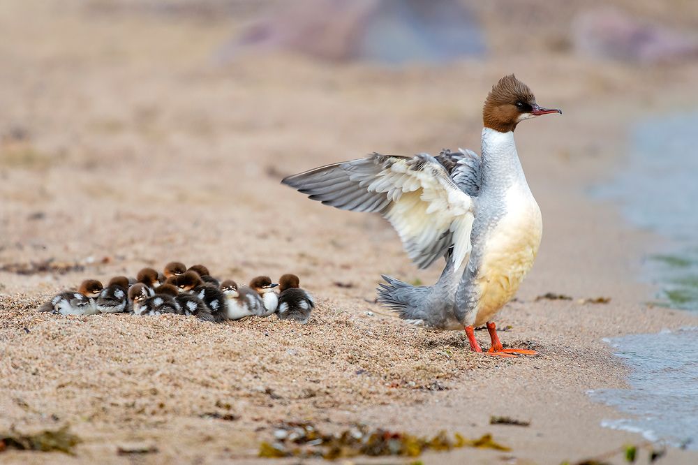 Photograph by Александр Абросимов