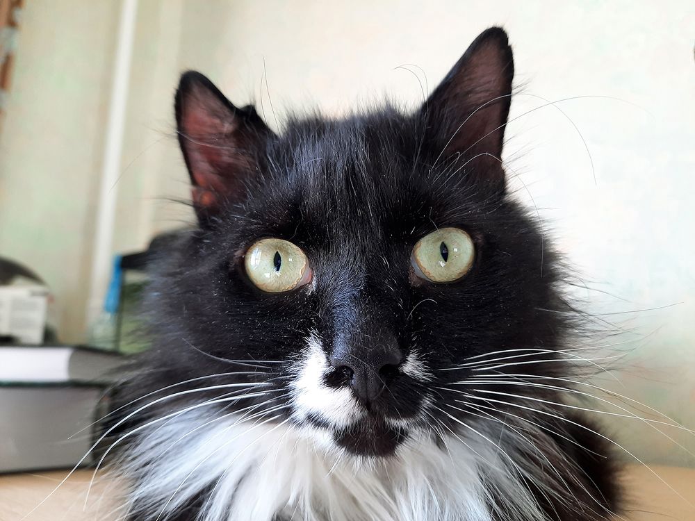 Photograph by Михаил Рассказ