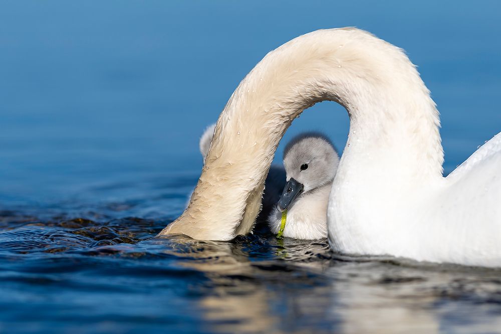 Photograph by Александр Абросимов