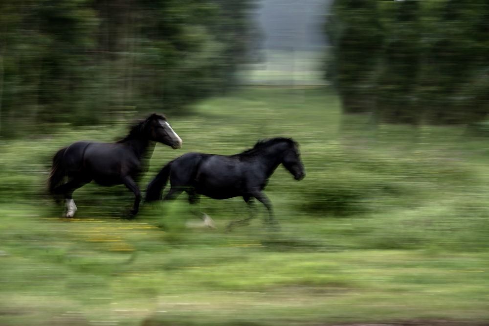 Photograph by Наталья Пирогова