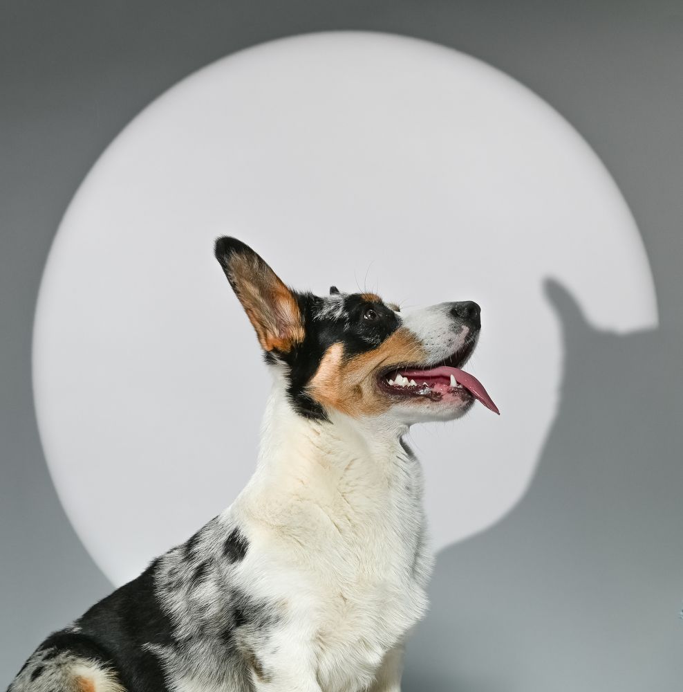 Photograph by Сергей Вальков