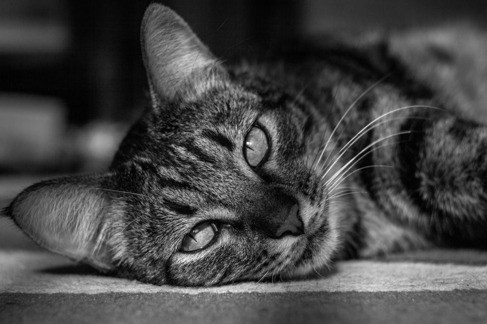 Photograph by Сергей Фаренюк