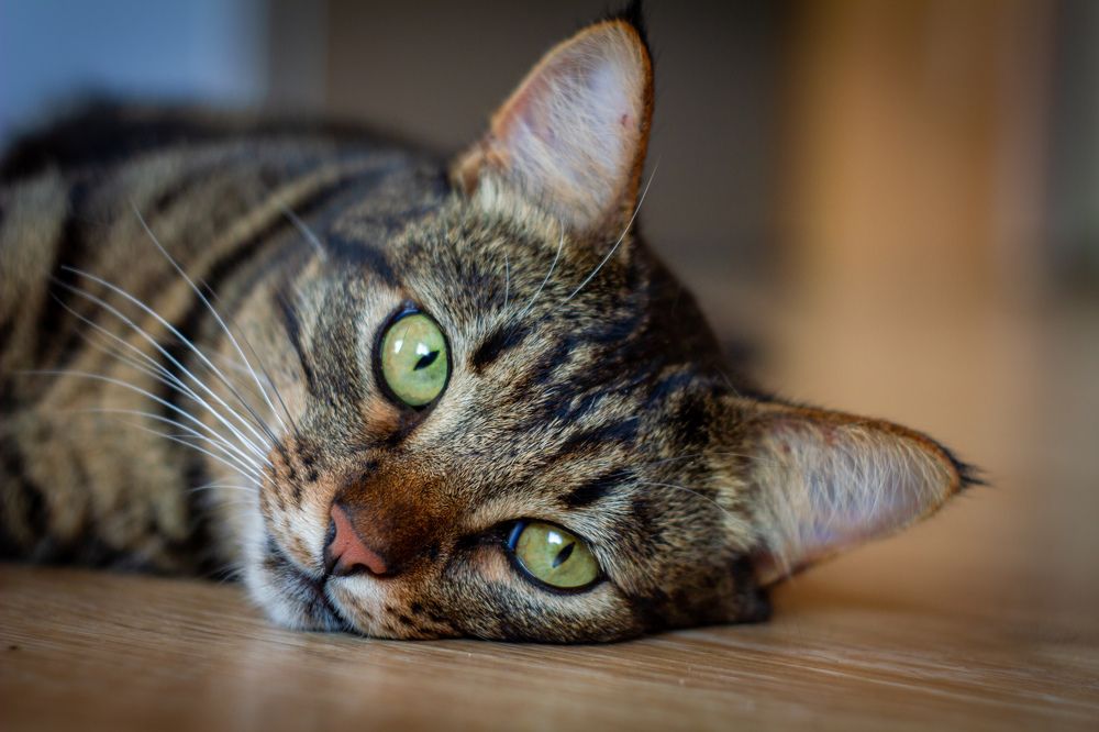 Photograph by Сергей Фаренюк