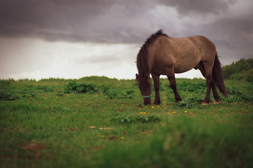 Photograph by Максим Усов