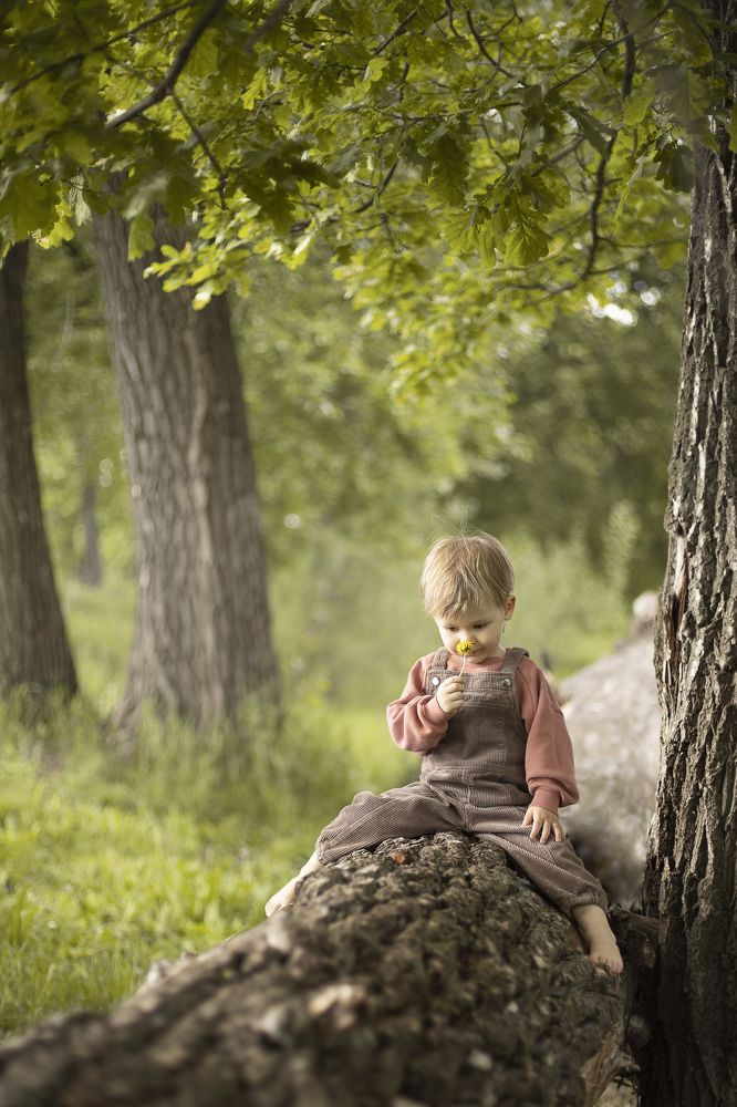 Photograph by Софья Пузикова