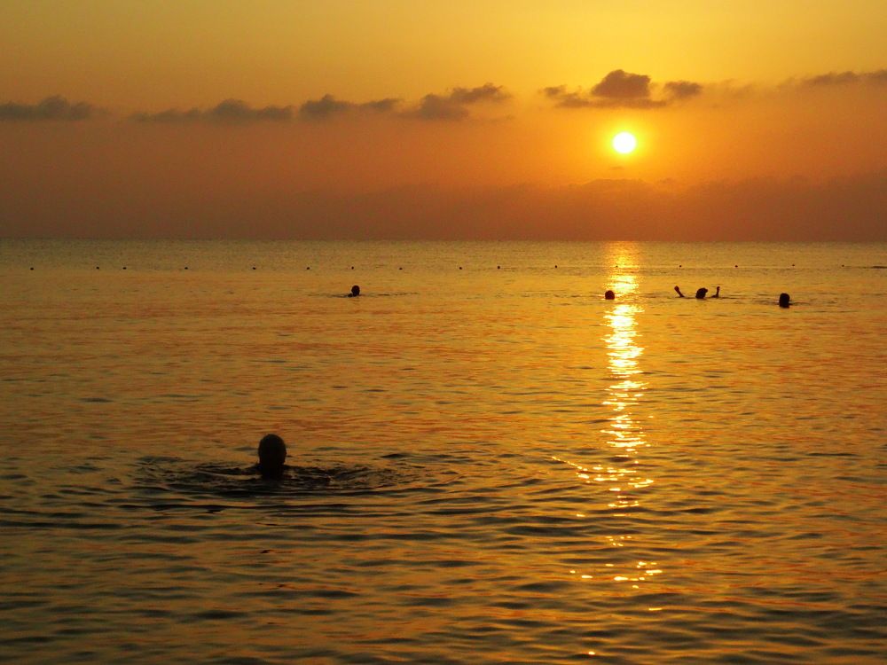 Photograph by Светлана Выдрова