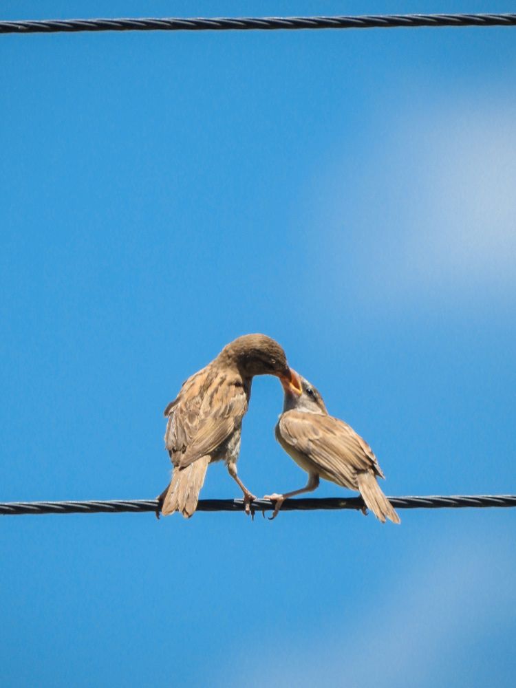 Photograph by amer amini