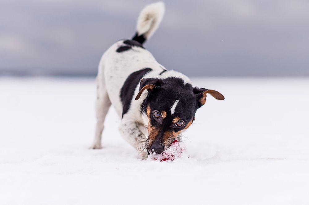 Photograph by Александр Абросимов