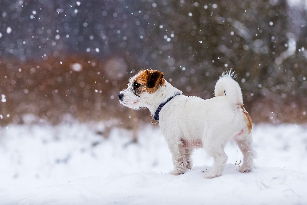 Photograph by Александр Абросимов