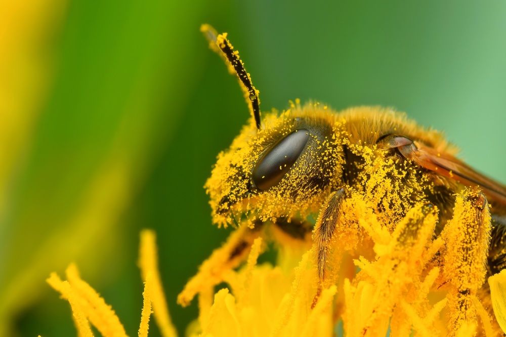 Photograph by Michael Gerhold