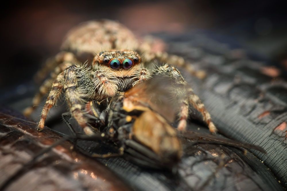 Photograph by Michael Gerhold