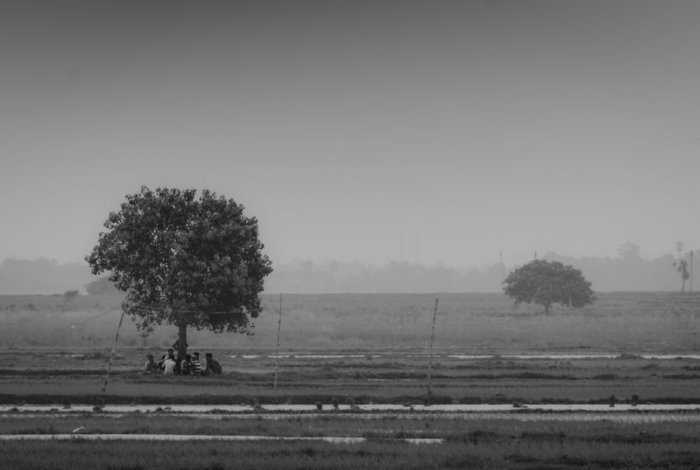 Photograph by Arita Halder