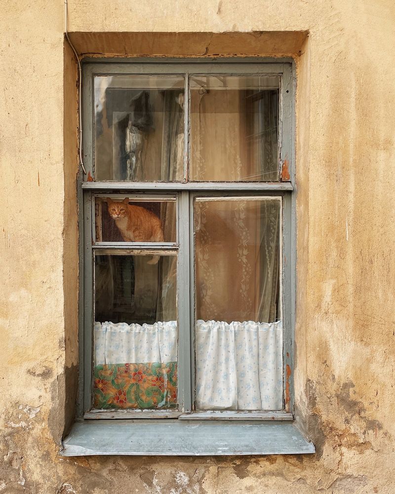 Photograph by Мария Дрожжина