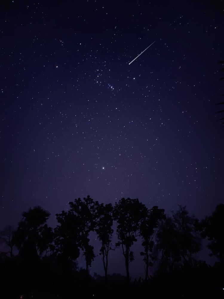 Photograph by Niloy Biswas