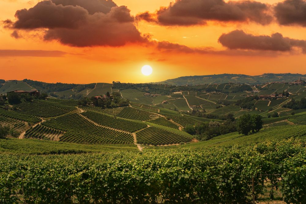 Photograph by Talli Mausovicius