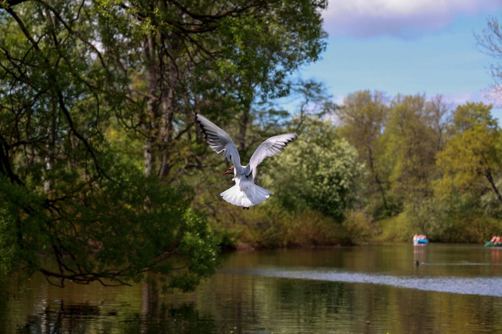Photograph by Валентина Калинина