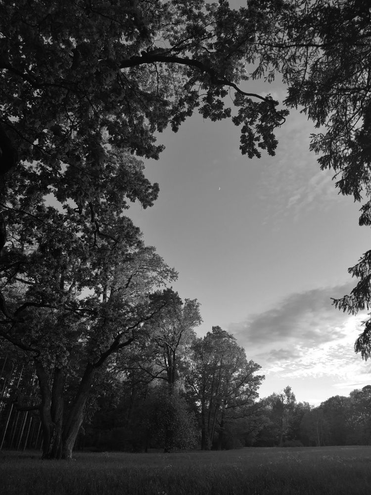 Photograph by Mila Vshivkova