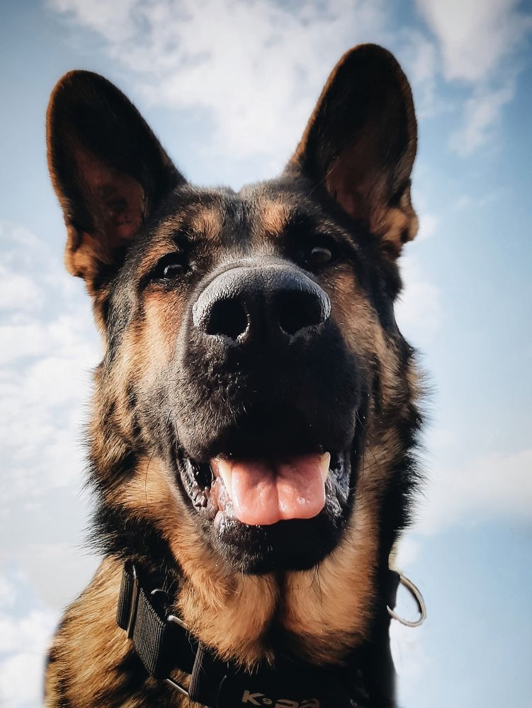 Photograph by Оксана Борисевич