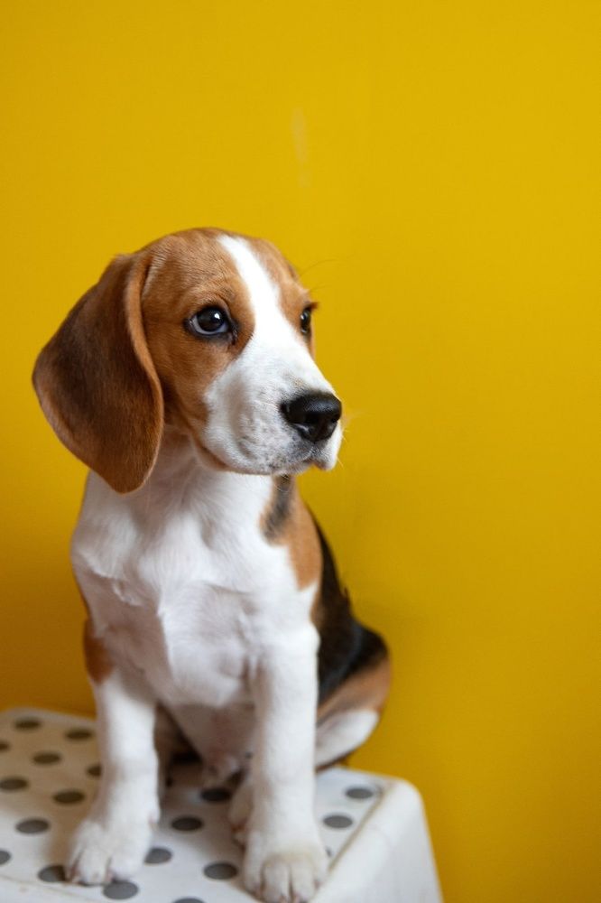 Photograph by Екатерина Ефимова